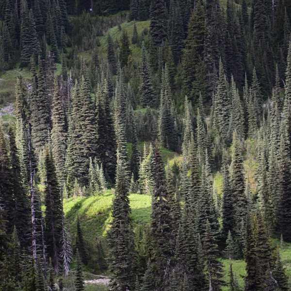 A different kind of sunspot. Taken in Rocky Mountain National Park.